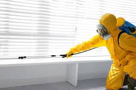 Best Indoor Pest Control  in Queen Creek, AZ